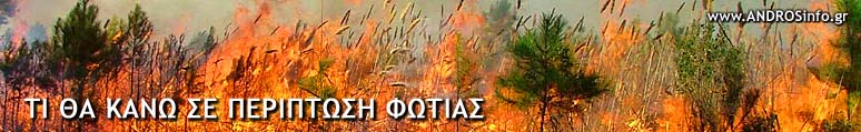www.ANDROSinfo.gr