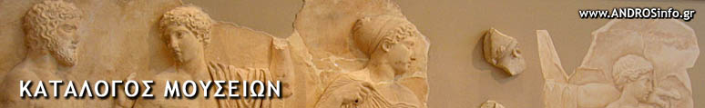 www.ANDROSinfo.gr